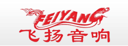 Guangzhou Feiyang Electronic Factory